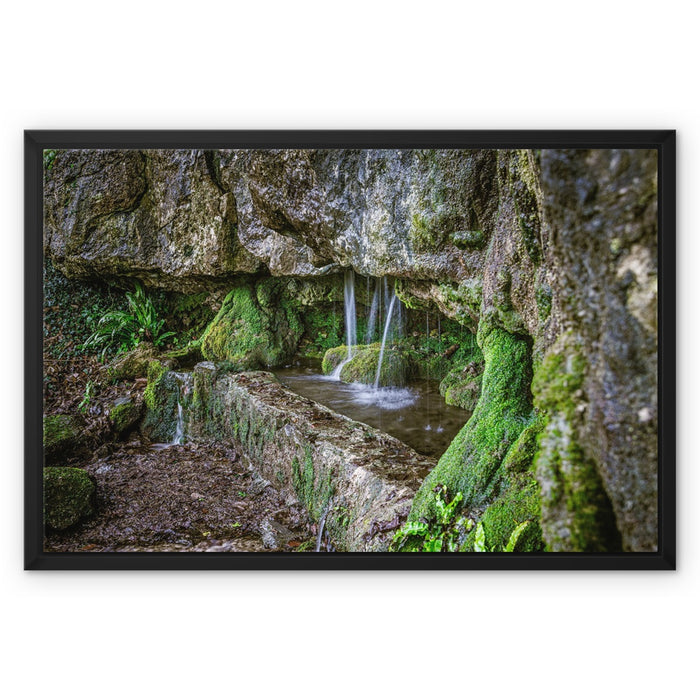 Woodwell basin Framed Canvas