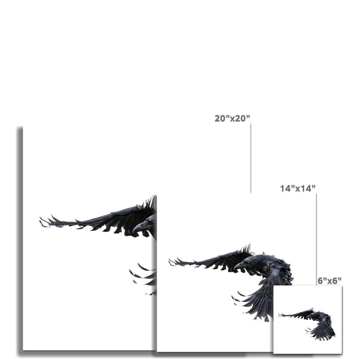 Raven 2 Wall Art Poster