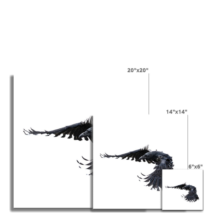Raven 2 Wall Art Poster