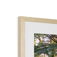 Woodwell Mystery Framed & Mounted Print