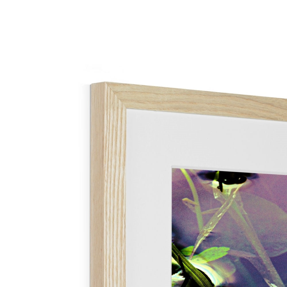 Sacred Pool Framed & Mounted Print