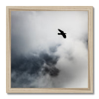 Storm Raven 2 Budget Framed Poster