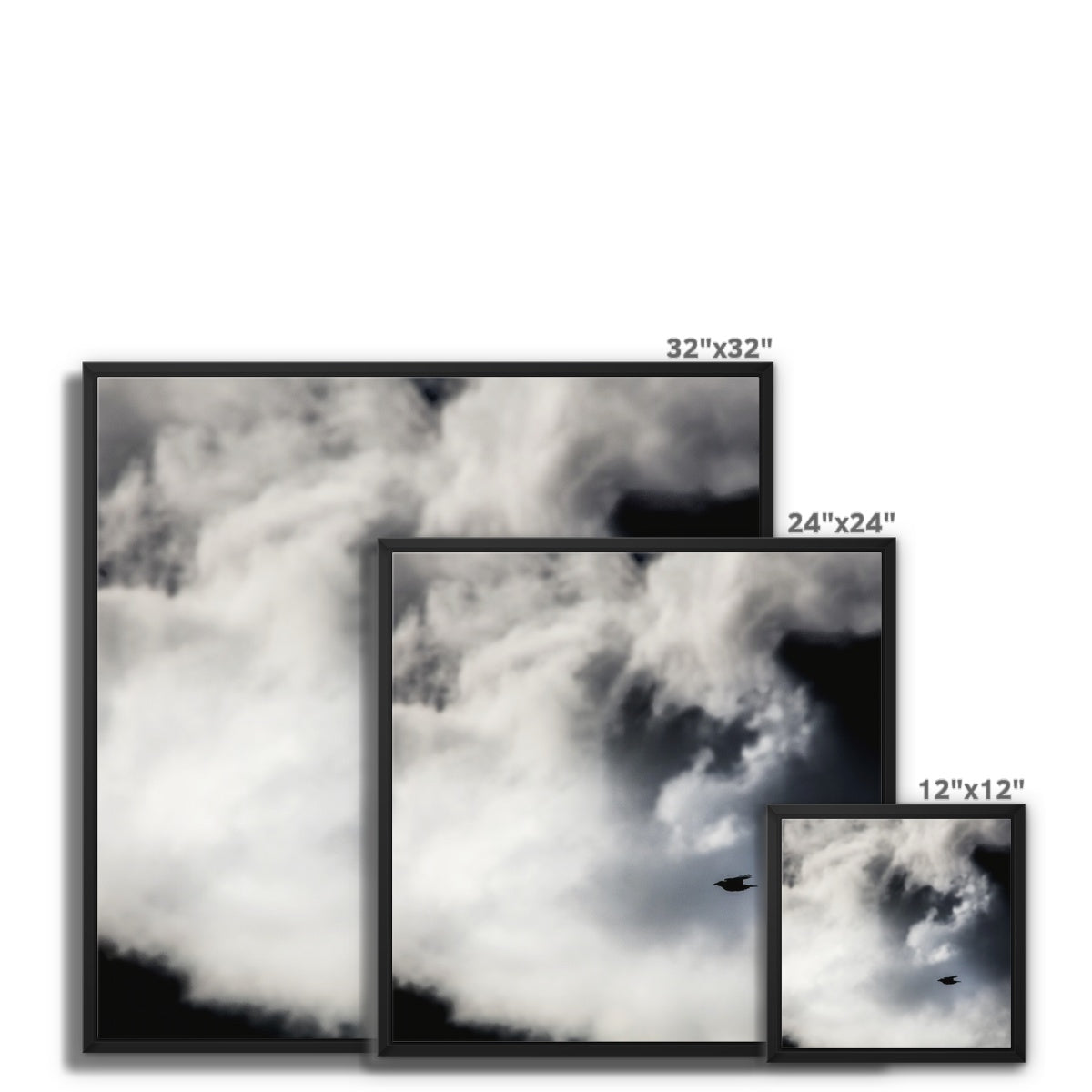 Storm Raven 1 Framed Canvas