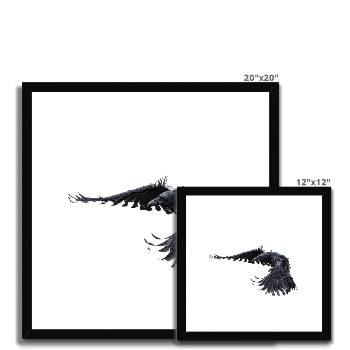 Raven 2 Framed & Mounted Print