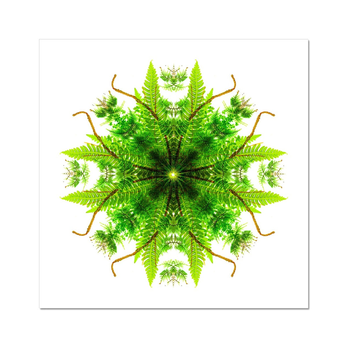 Heart of Nature Wall Art Poster