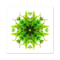 Heart of Nature Wall Art Poster