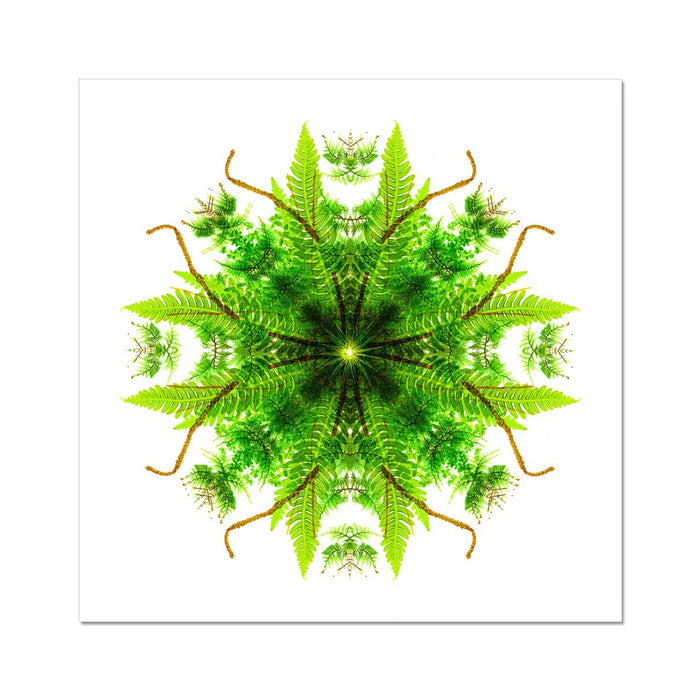 Heart of Nature Wall Art Poster