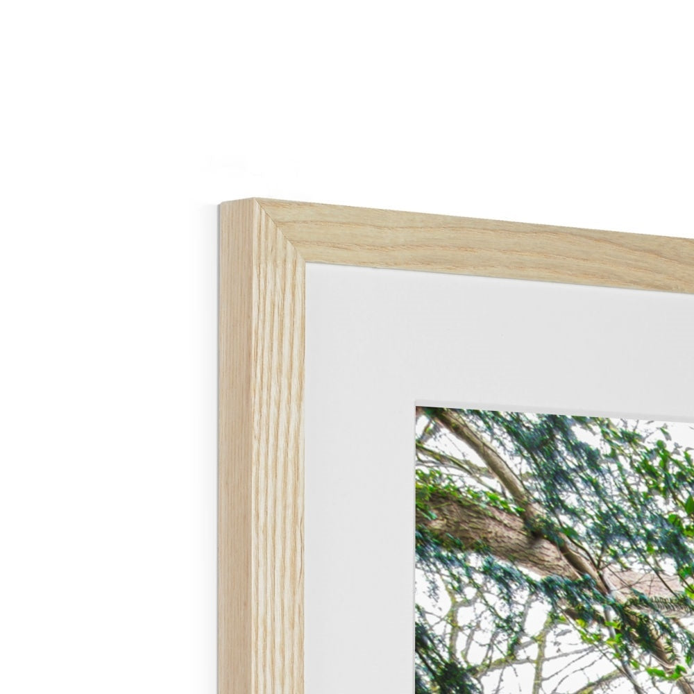Rock Guardian Framed & Mounted Print