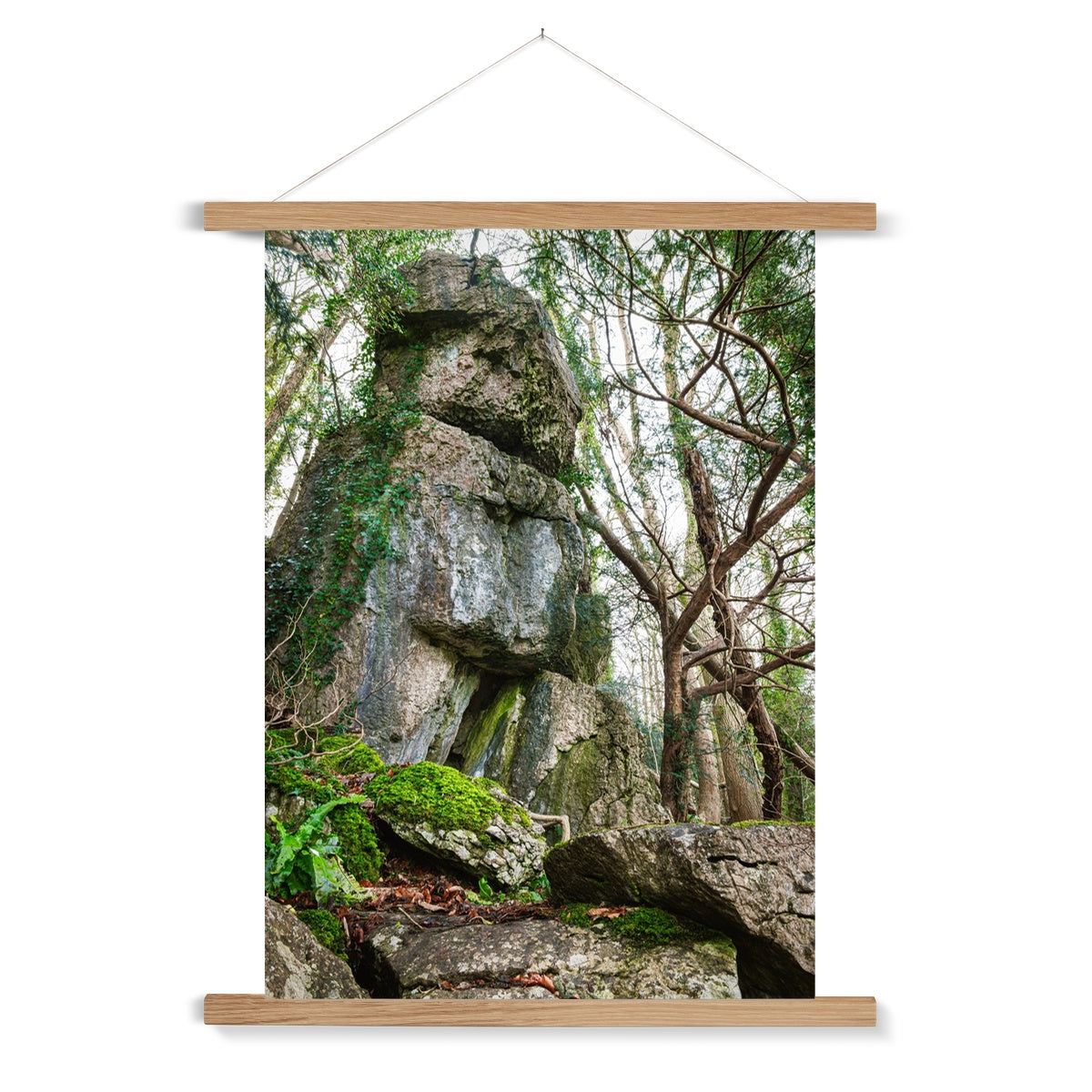 Rock Guardian Fine Art Print with Hanger