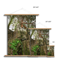 Boulder and Yew Fine Art Print with Hanger
