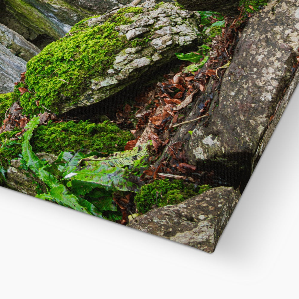 Rock Guardian Canvas