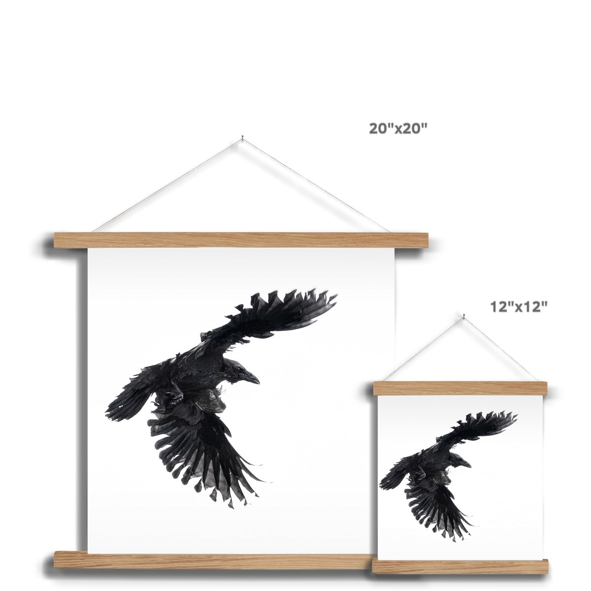 Raven 1 Fine Art Print with Hanger