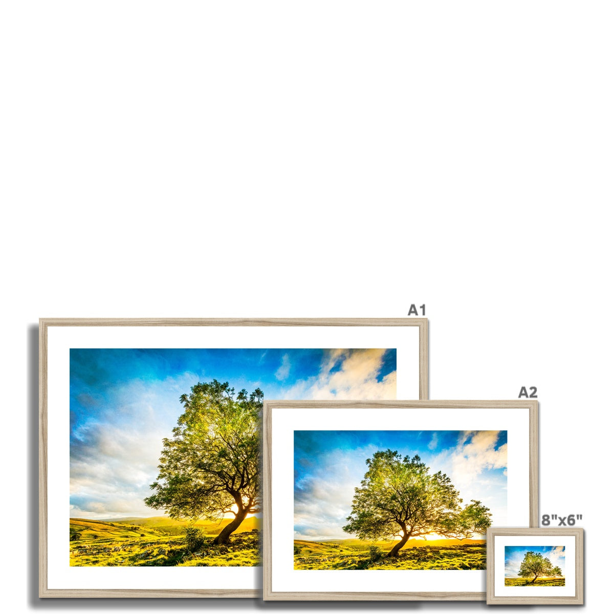 The Winskill Ash Framed & Mounted Print