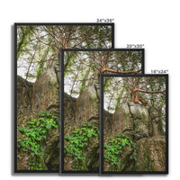 Boulder and Yew Framed Canvas