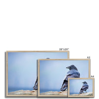 The Raven of Ireland Framed Print