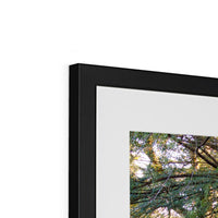 Woodwell Mystery Framed & Mounted Print