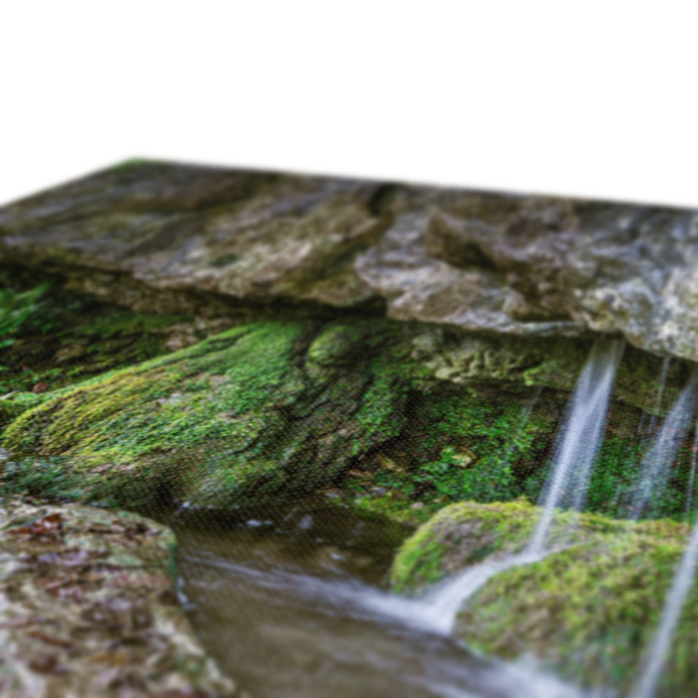 Woodwell basin Canvas