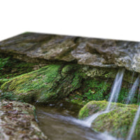 Woodwell basin Canvas