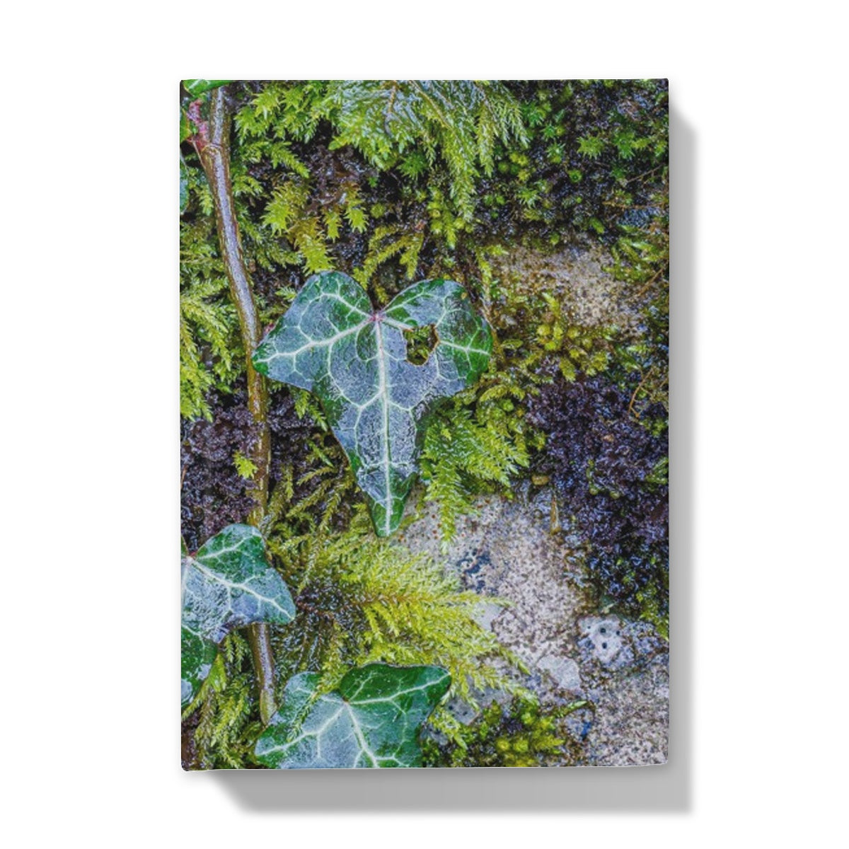 Ivy Clad Hardback Journal