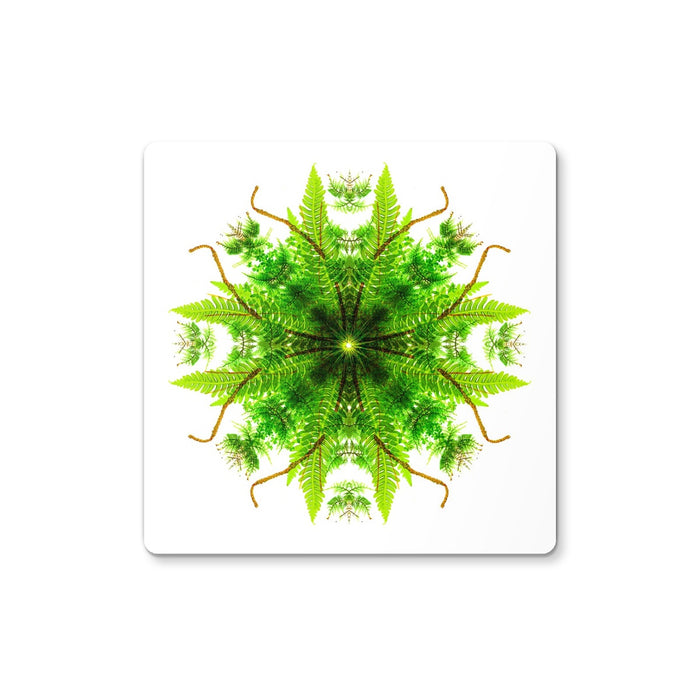 Heart of Nature Coaster