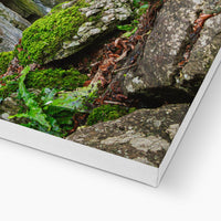 Rock Guardian Canvas
