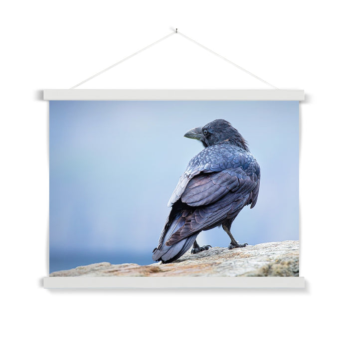 The Raven of Ireland Fine Art Print with Hanger