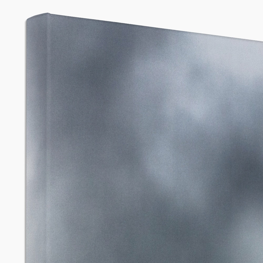 Storm Raven 3 Canvas