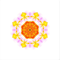 Creativity Mandala Sticker
