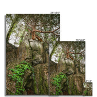 Boulder and Yew Hahnemühle Photo Rag Print