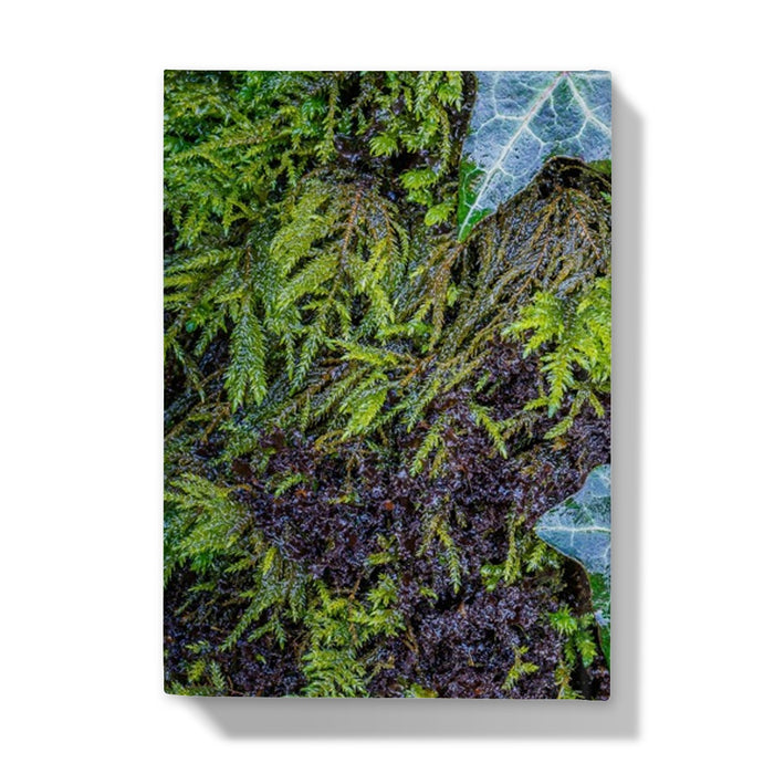 Ivy Clad Hardback Journal