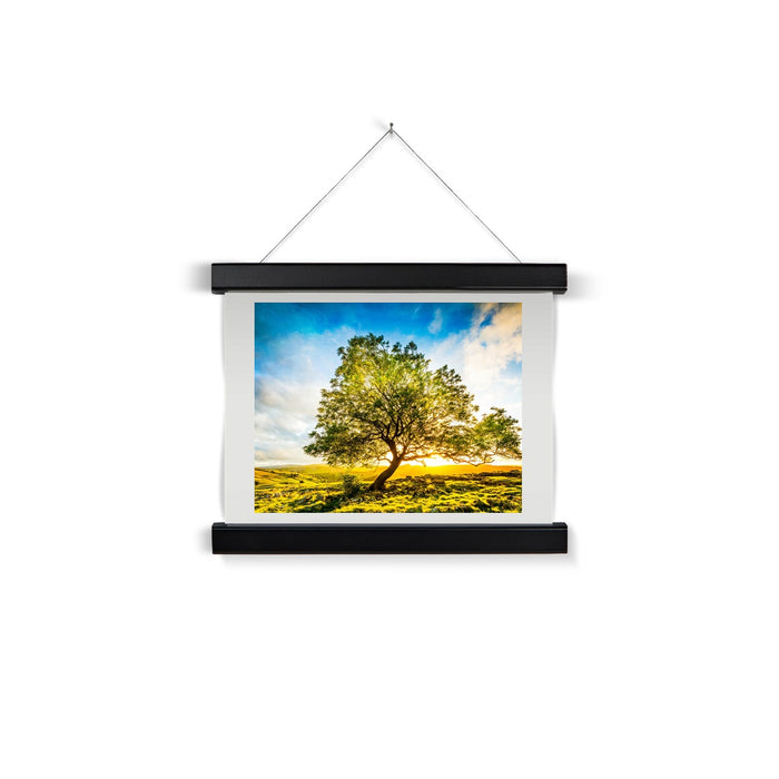 The Winskill Ash Fine Art Print with Hanger