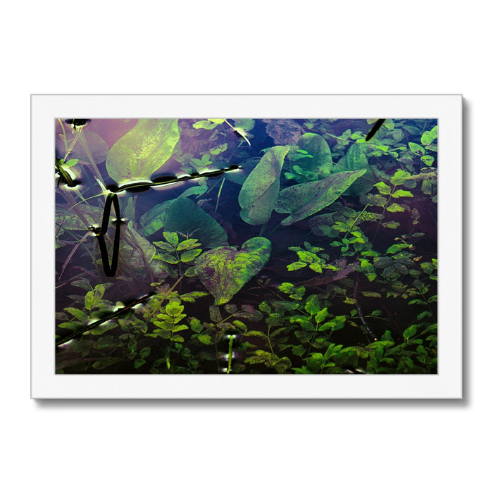 Sacred Pool Framed Print