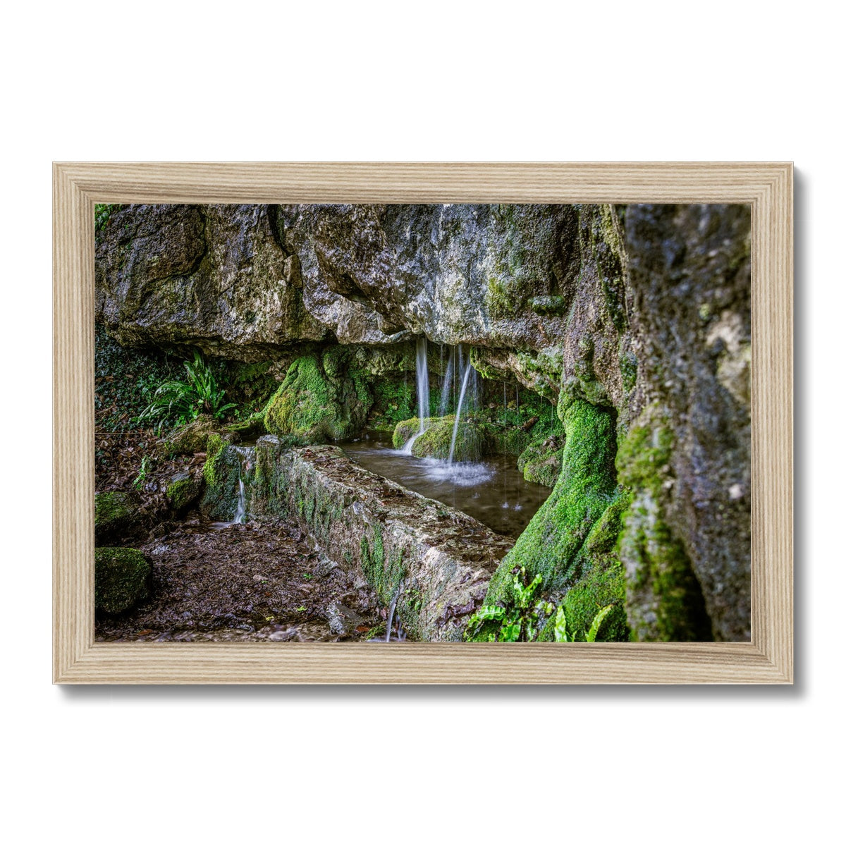 Woodwell basin Framed Print