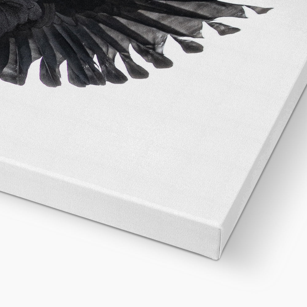 Raven 1 Canvas