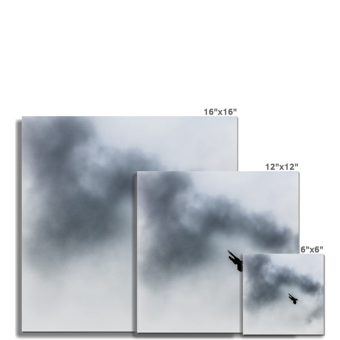 Storm Raven 3 Wall Art Poster