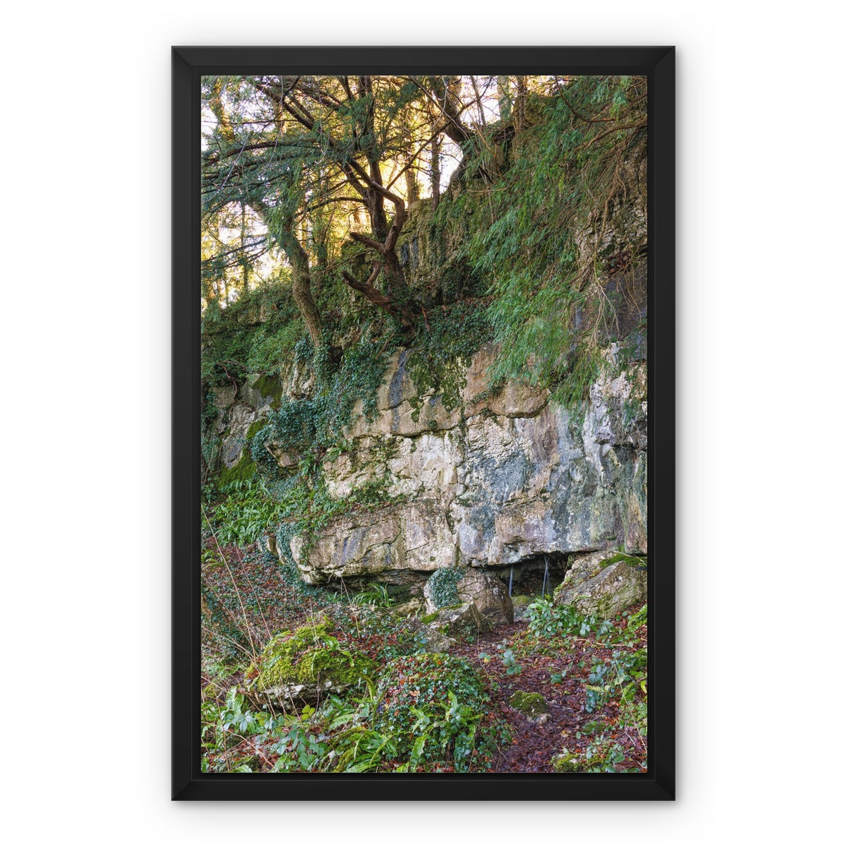 Woodwell Mystery Framed Canvas