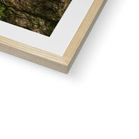 Boulder and Yew Framed & Mounted Print