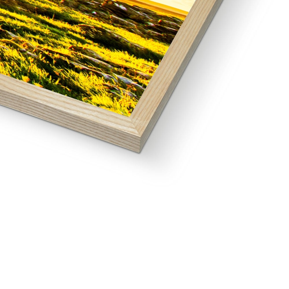 The Winskill Ash Framed Print