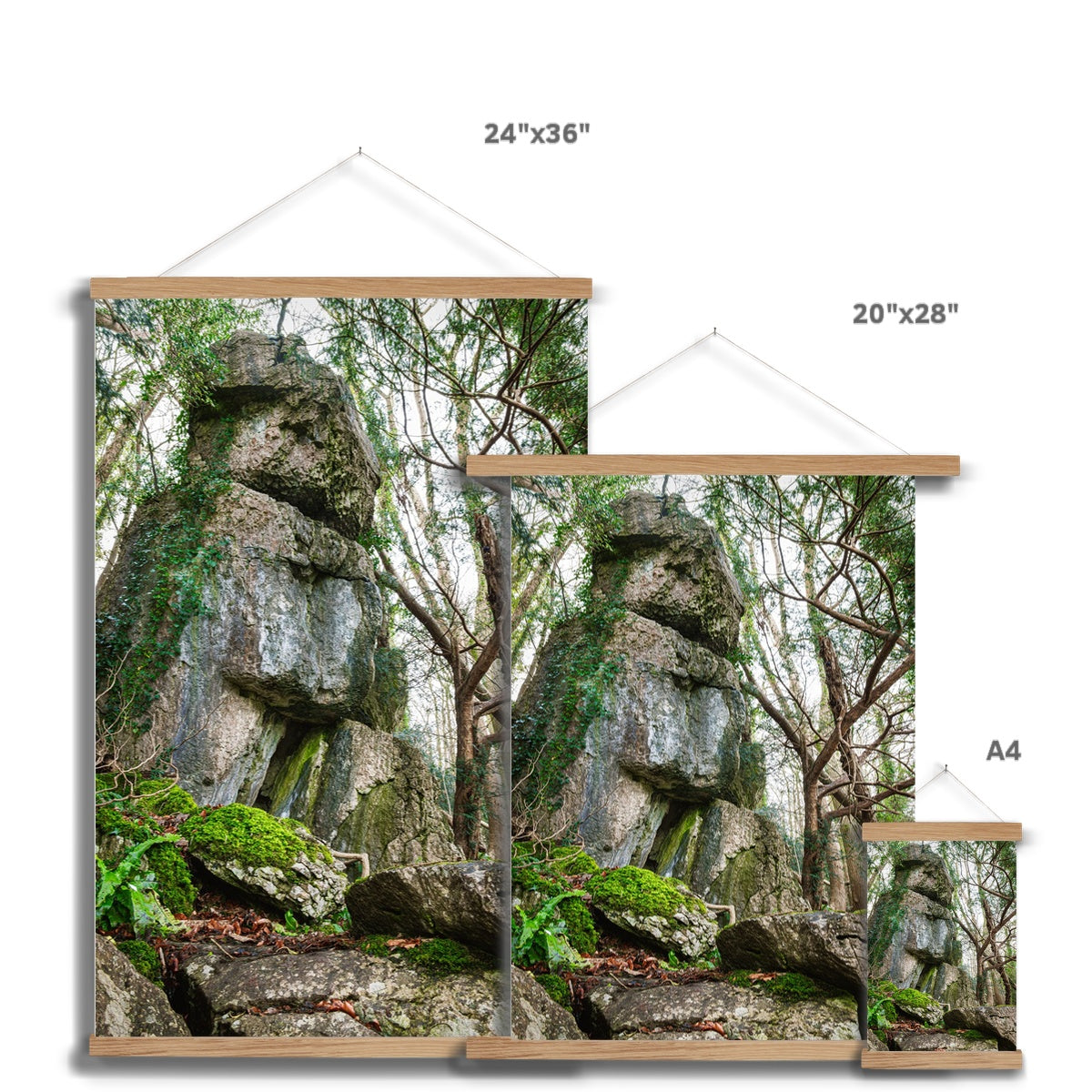Rock Guardian Fine Art Print with Hanger