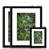 Ivy Clad Framed & Mounted Print
