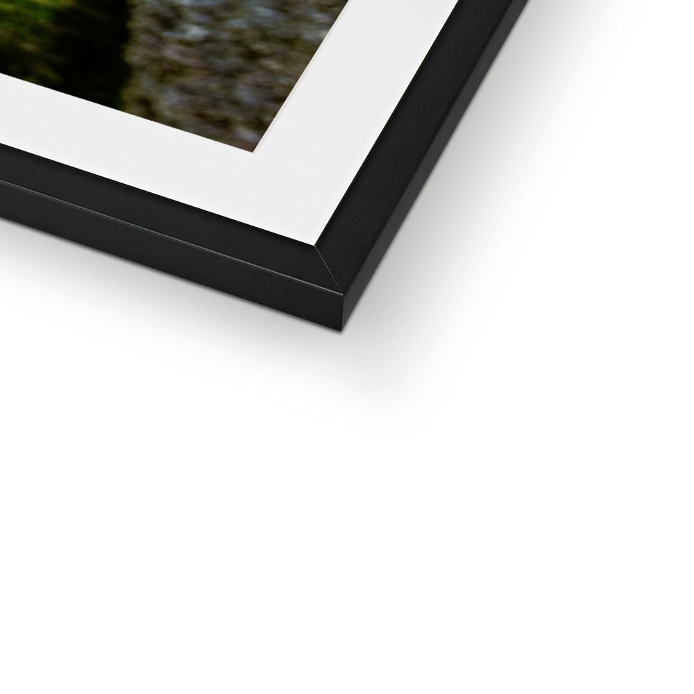 Woodwell basin Framed & Mounted Print