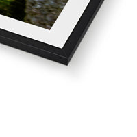 Woodwell basin Framed & Mounted Print