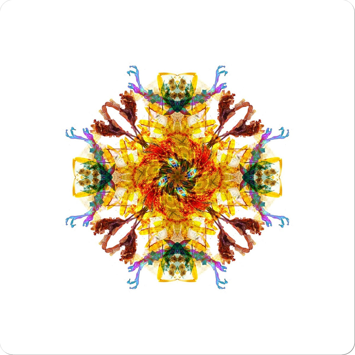 Ancient Wisdom Mandala Sticker