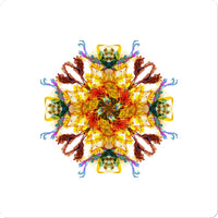 Ancient Wisdom Mandala Sticker