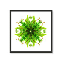 Heart of Nature Framed Photo Tile