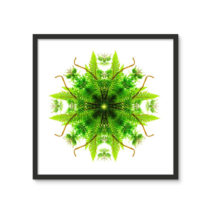 Heart of Nature Framed Photo Tile
