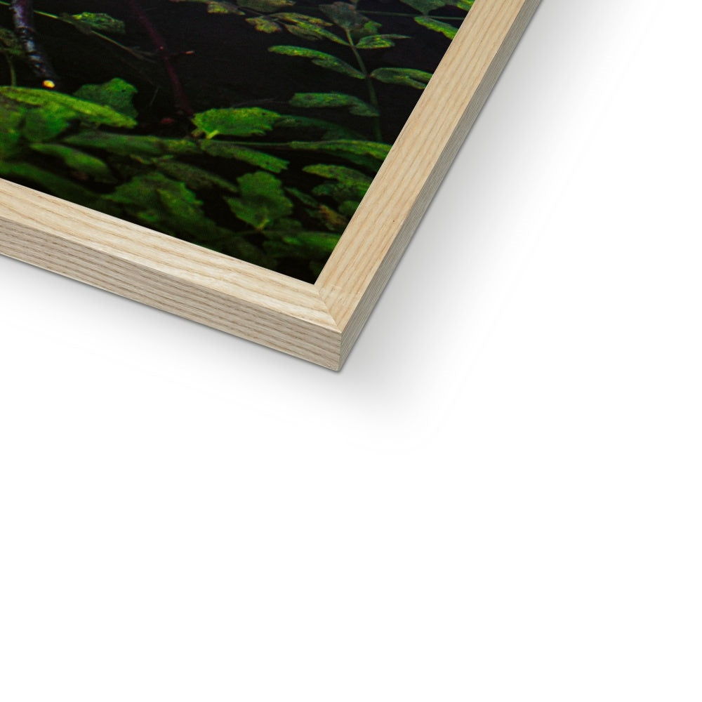 Sacred Pool Framed Print