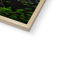 Sacred Pool Framed Print