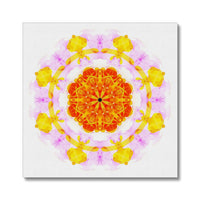 Creativity Mandala Canvas