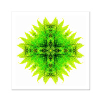 Spirit of Place Fine Art Print